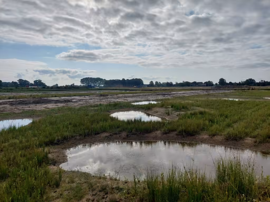 Natuurgebied Lampenbroek in de ochtend na oplevering